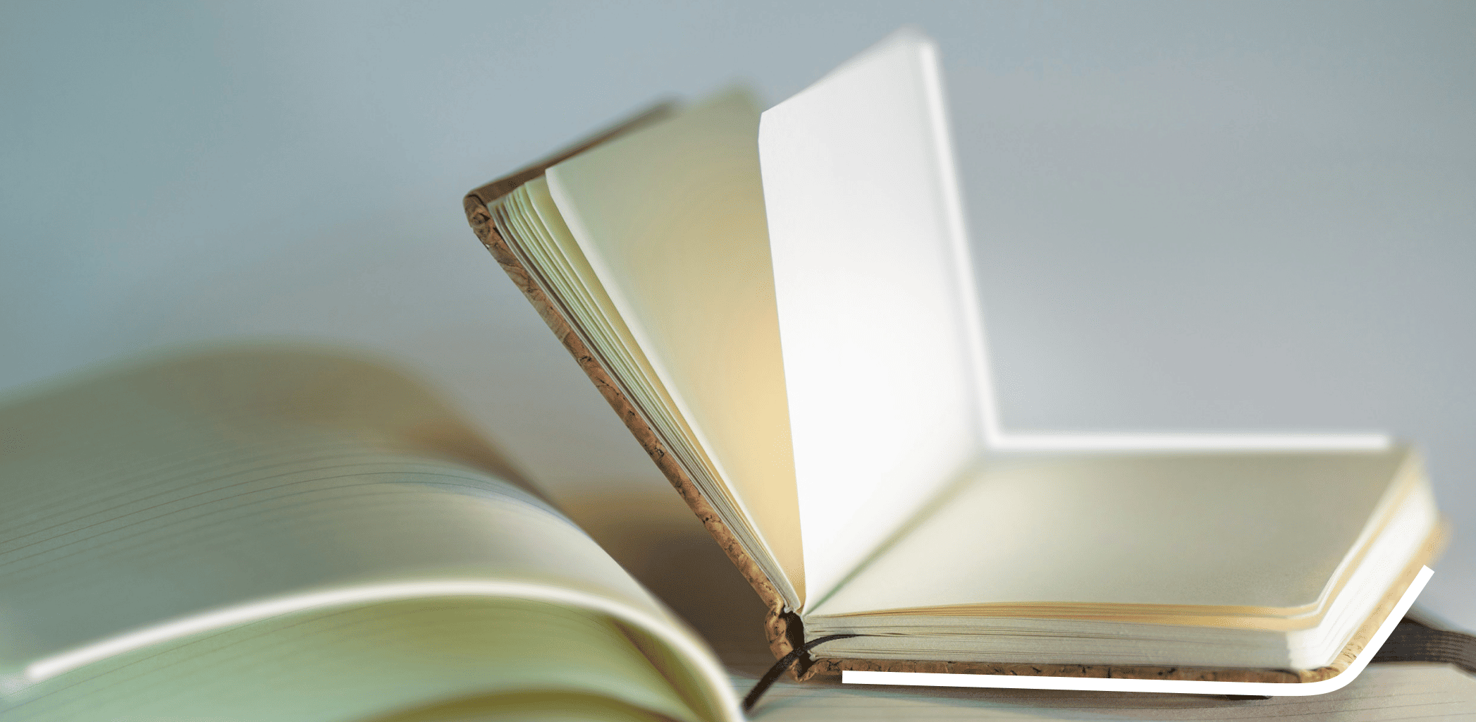 Как избежать ошибок при оформлении земельного участка